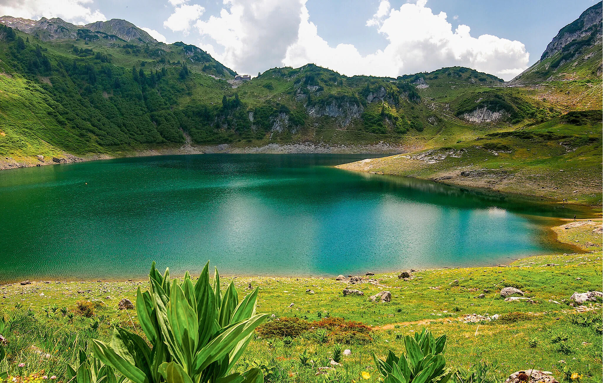 Vendégház Dalaas - AVO079 – Dalaas, Austria