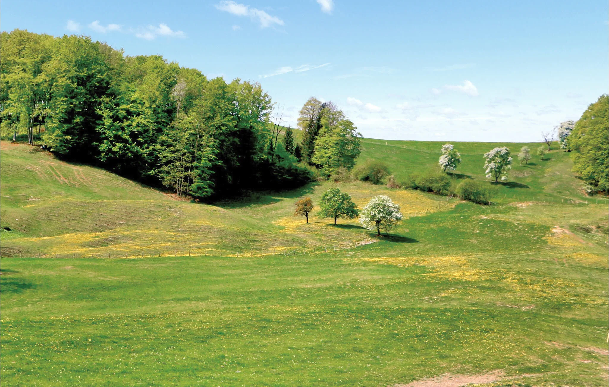 Apartman Ertl - ANO113 – Ertl, Austria