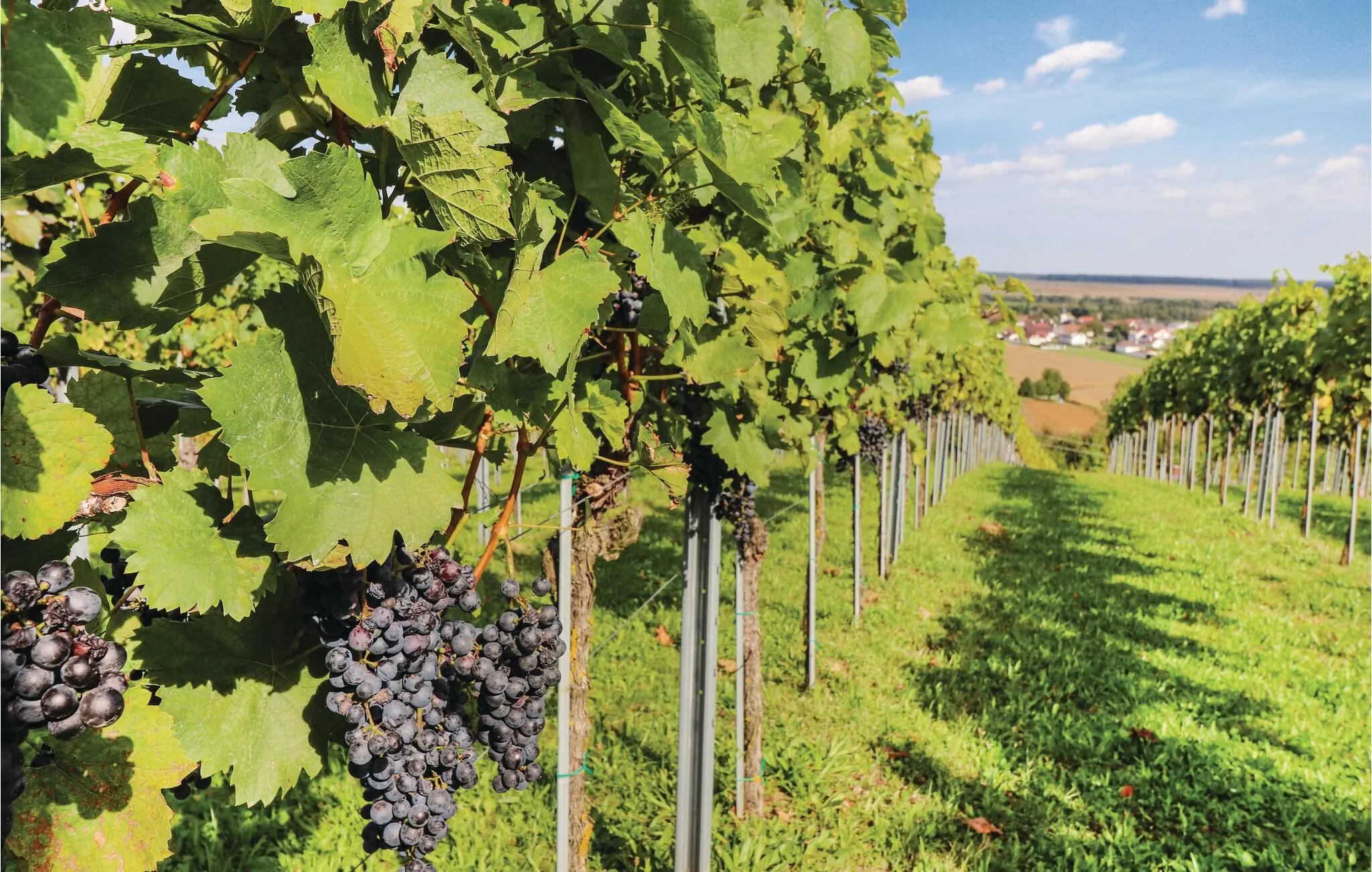 Vendégház Gaas - ABU133 – Gaas, Austria