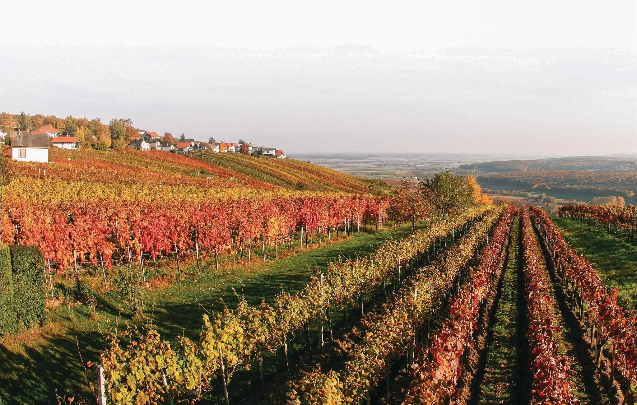 Vendégház Deutsch Schützen-Eisenberg - ABU107 – Deutsch Schützen-Eisenberg, Austria