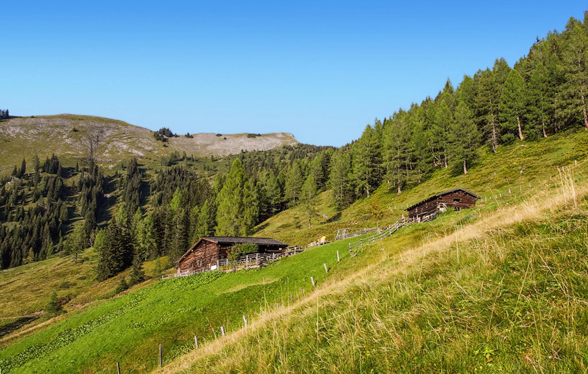 Apartman Grossarl - ASA685 – Grossarl, Austria