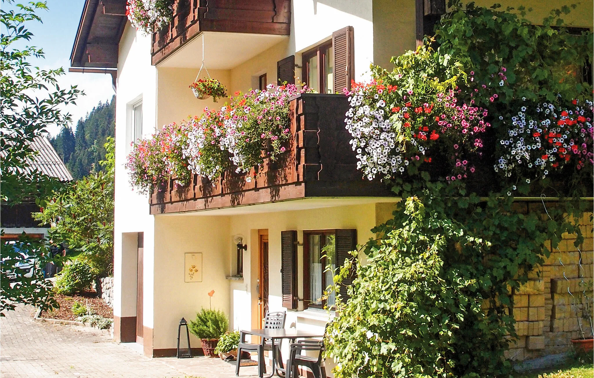 Apartman Sankt Gallenkirch - AVO076 – Sankt Gallenkirch, Austria