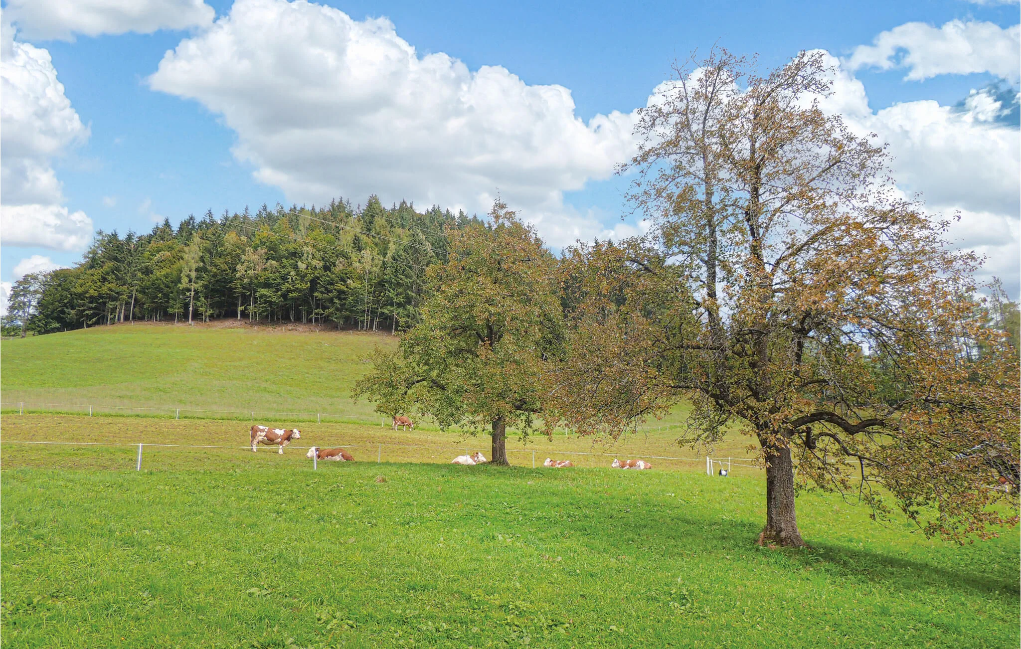 Vendégház Wagrain - ASA006 – Wagrain, Austria