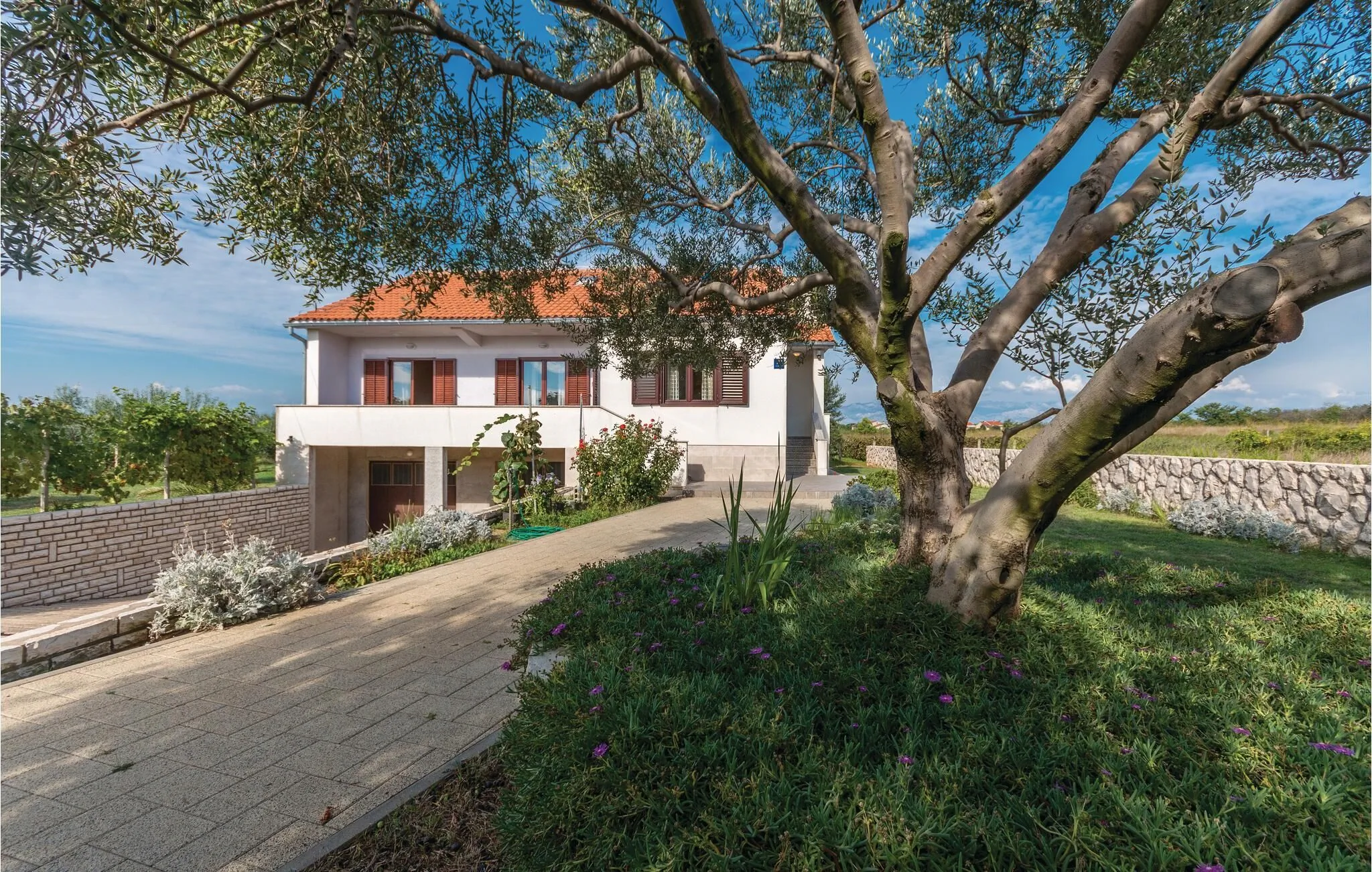 Vendégház Privlaka - CDZ802 – Privlaka, Croația