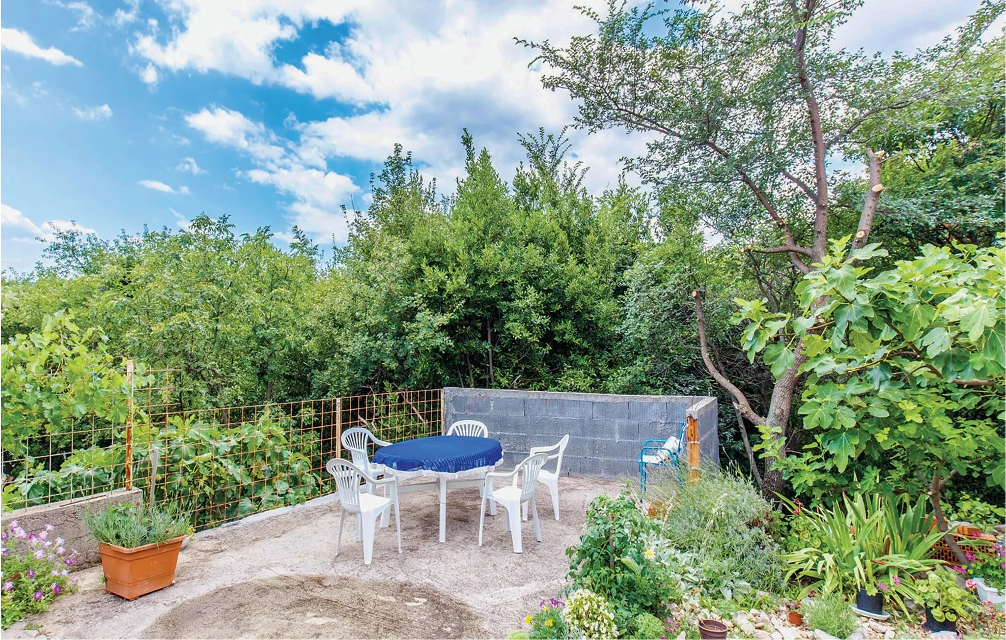 Apartman Grižane-Belgrad - CKA014 – Grižane, Chorvatsko