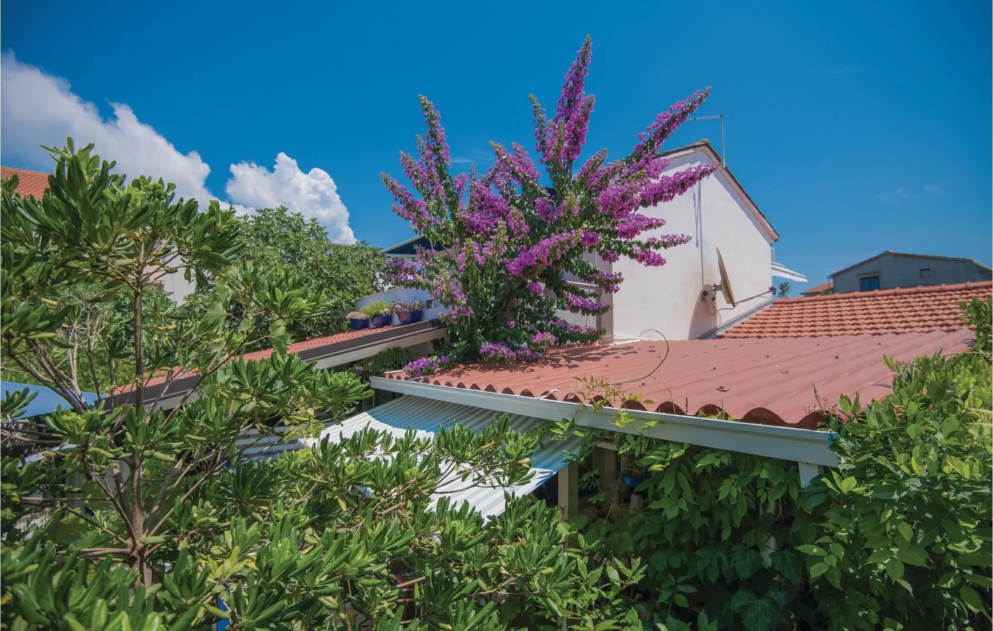 Vendégház Sućuraj - CDH372 - foto 4