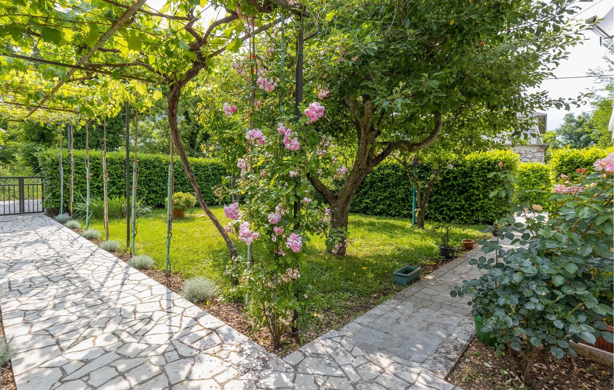 Apartman Tribalj - CKC688 – Tribalj, Chorvatsko