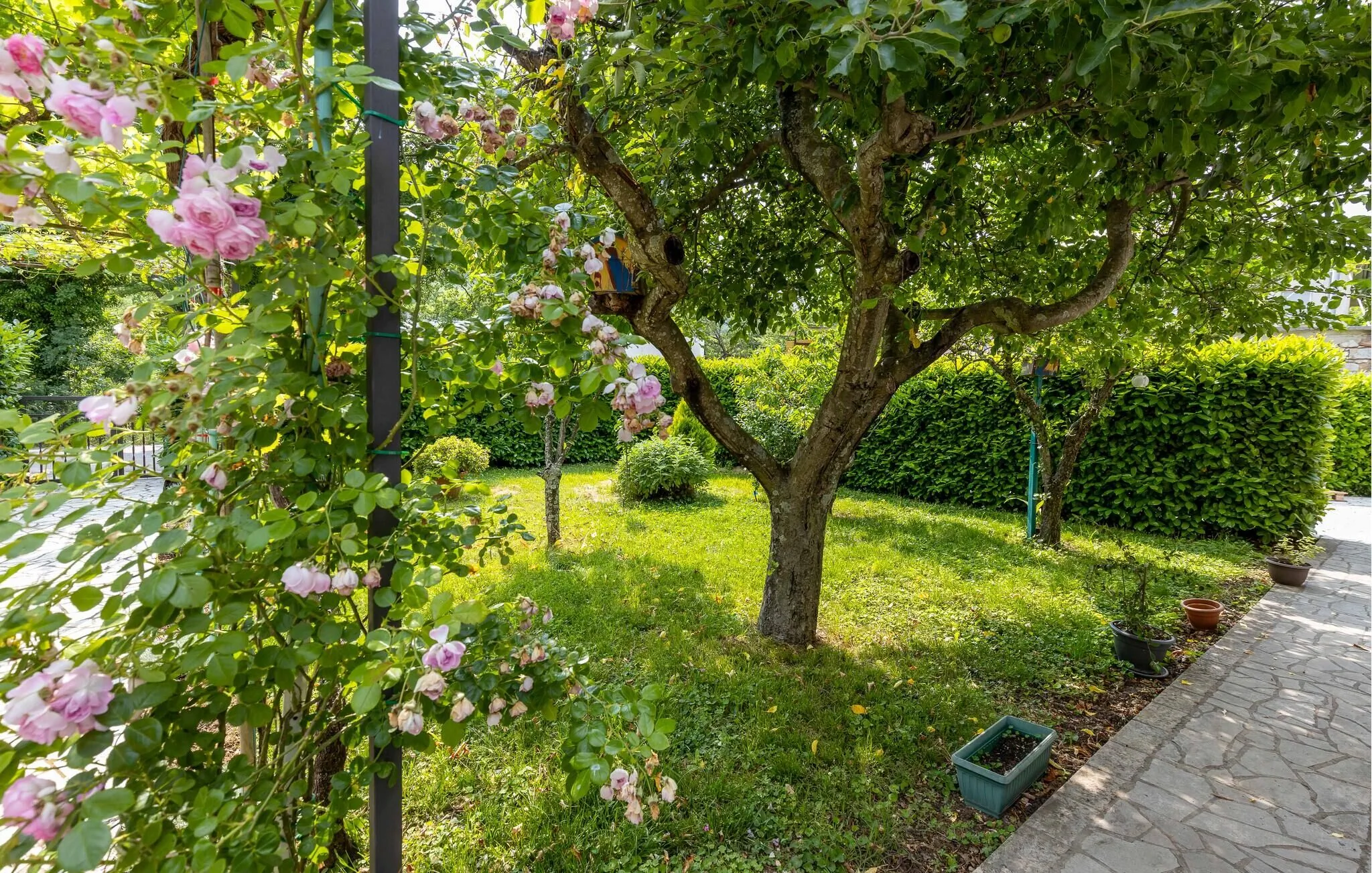 Apartman Tribalj - CKC688 – Tribalj, Chorvatsko