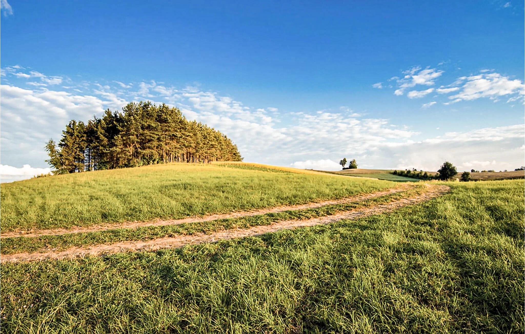 Vendégház Kożyczkowo - PKA593 - foto 8
