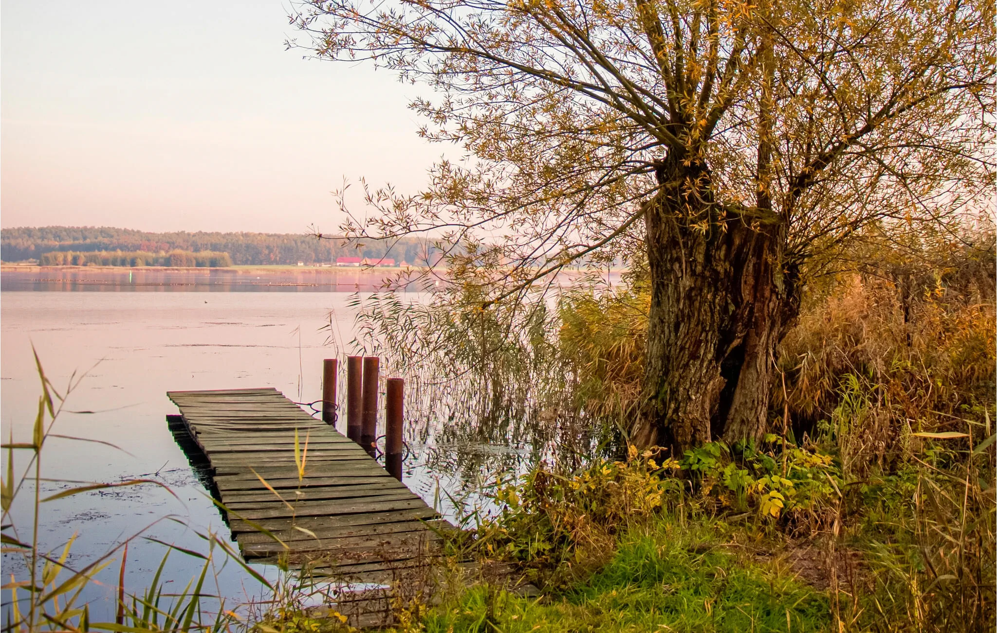 Vendégház Wolin - PPO331 - foto 3