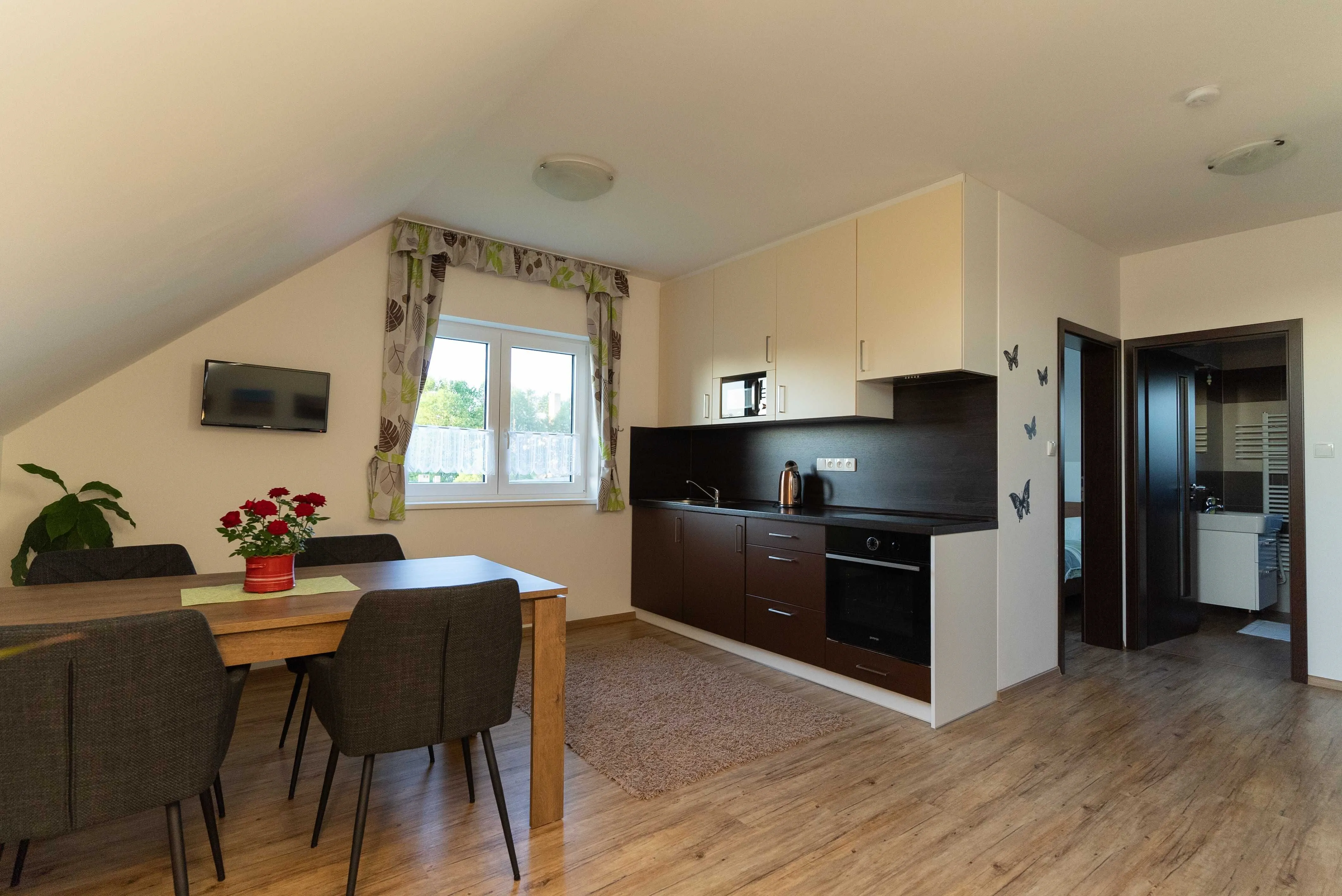 Apartmány Slepička a Kohoutek Nové Hrady – Nové Hrady, Česká republika