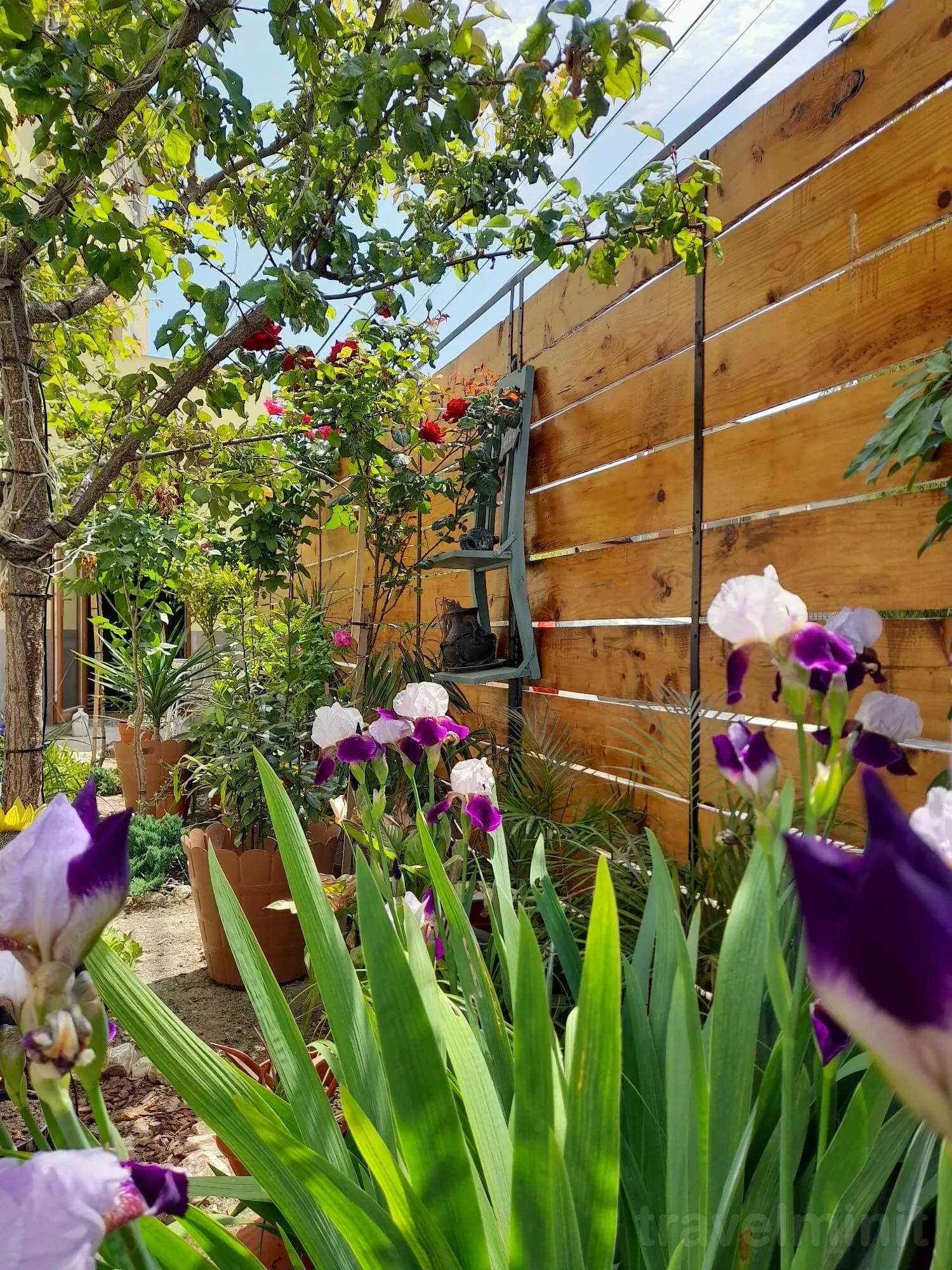 Casa George Mamaia Nord - foto 4