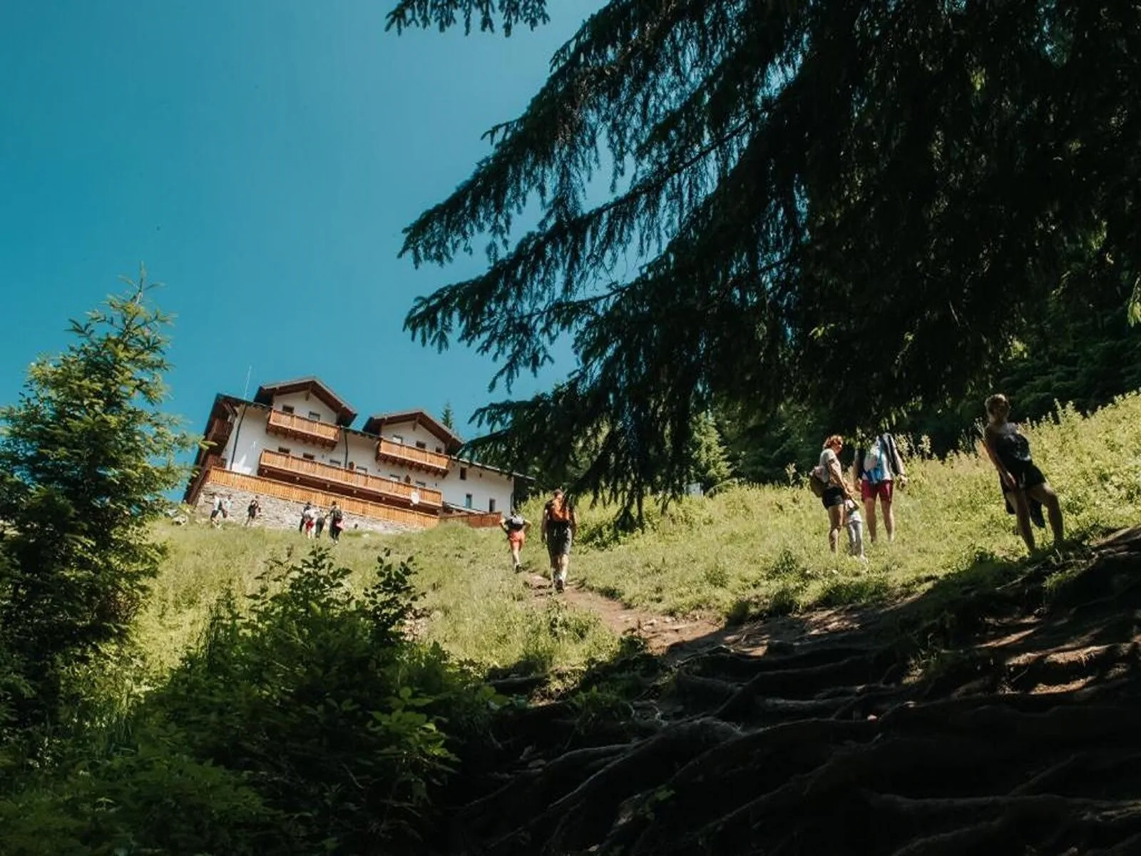 Cabana Fantanele Ceahlău – Ceahlău, România