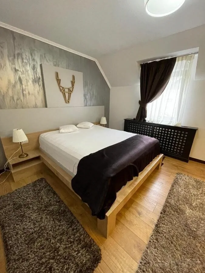Pensiunea Capra Neagră Moisei – Moisei, România