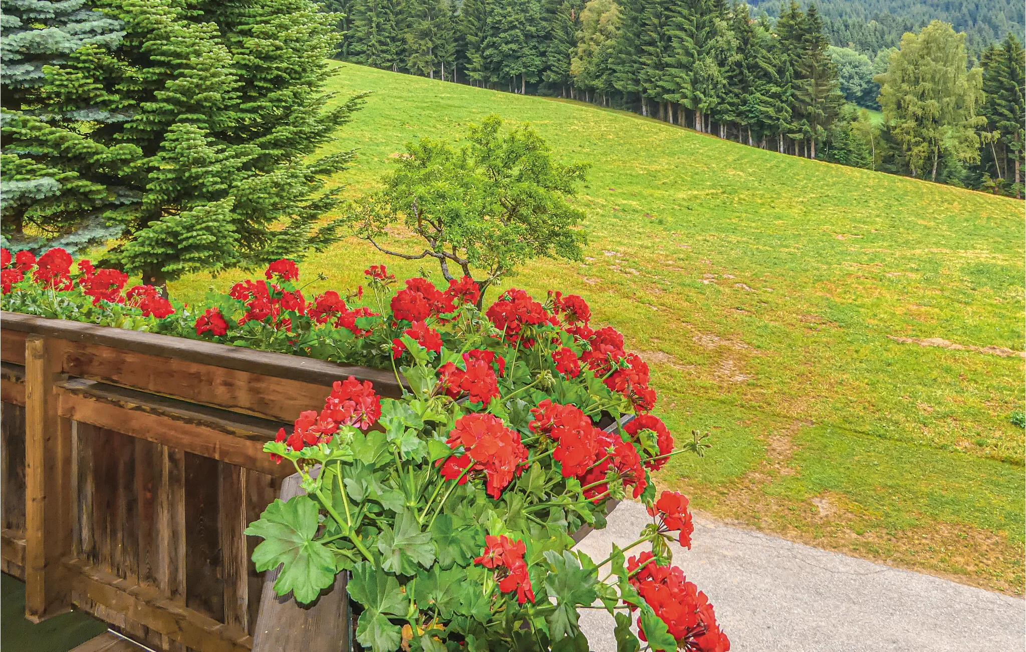 Apartman Fresach - AKA208 - foto 6