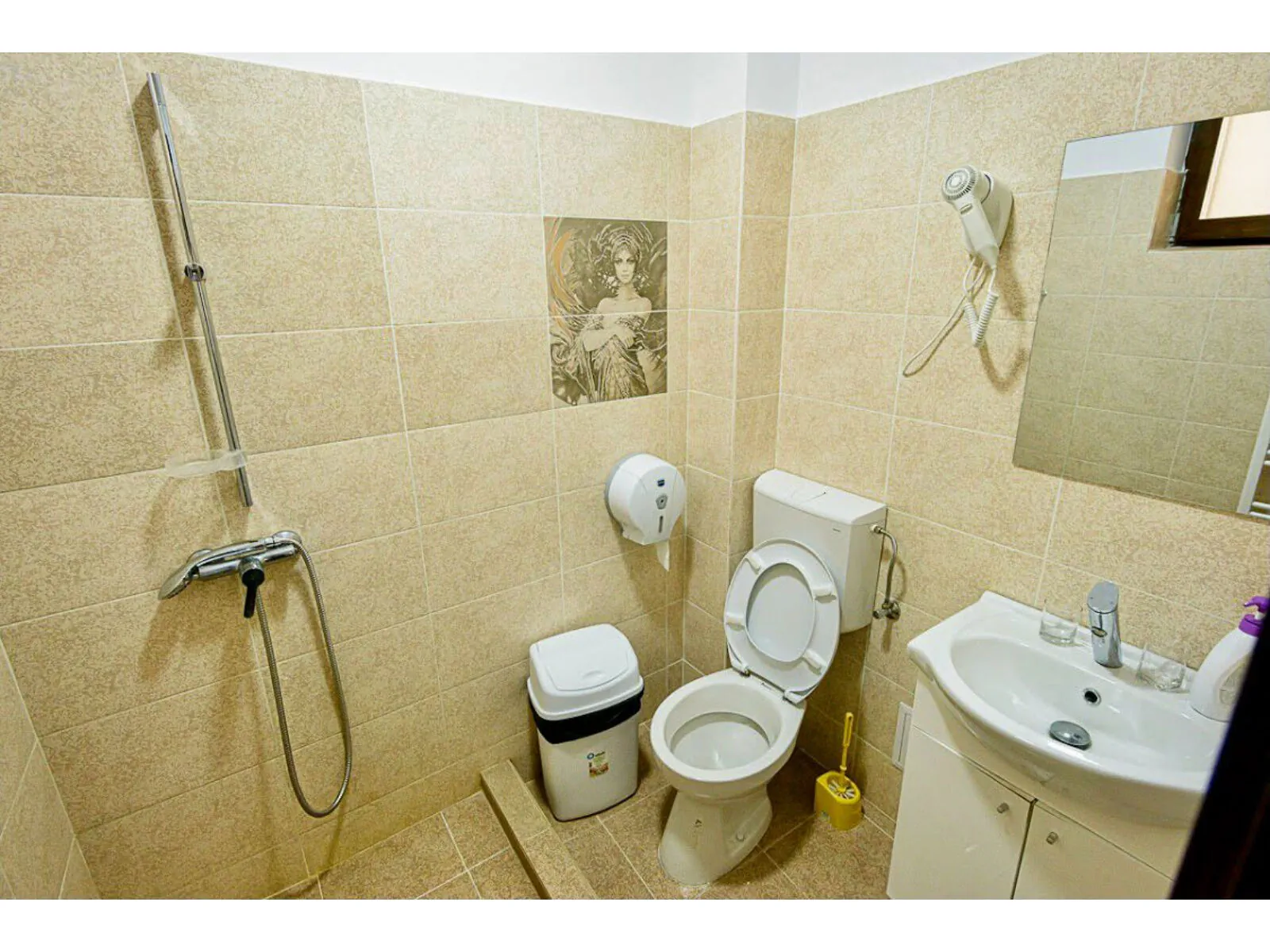 Pensiunea Casa Domneasca Riana Pitești – Pitești, România