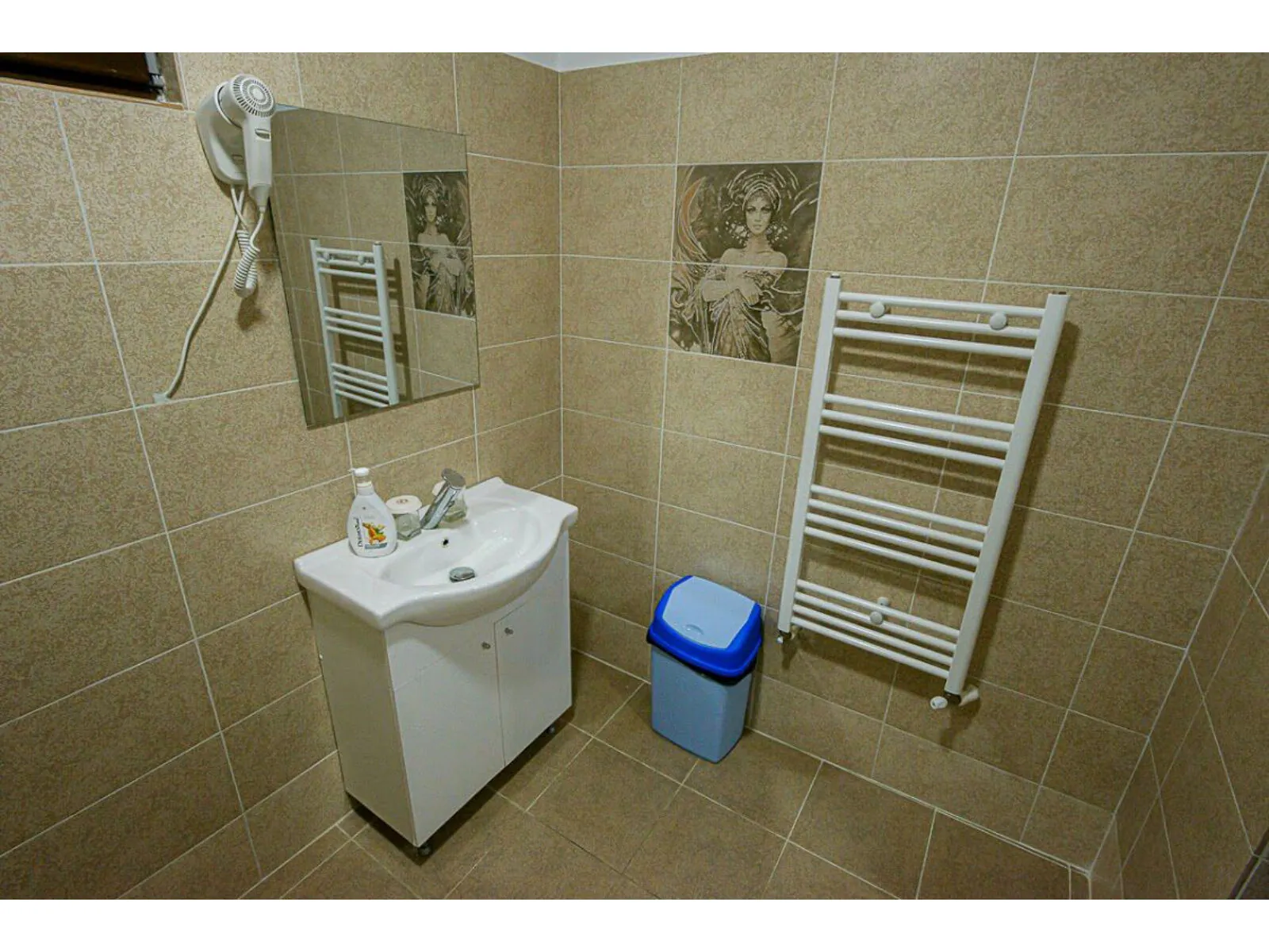 Pensiunea Casa Domneasca Riana Pitești – Pitești, România