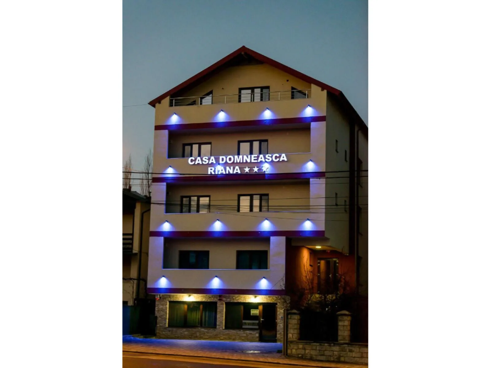Pensiunea Casa Domneasca Riana Pitești – Pitești, România