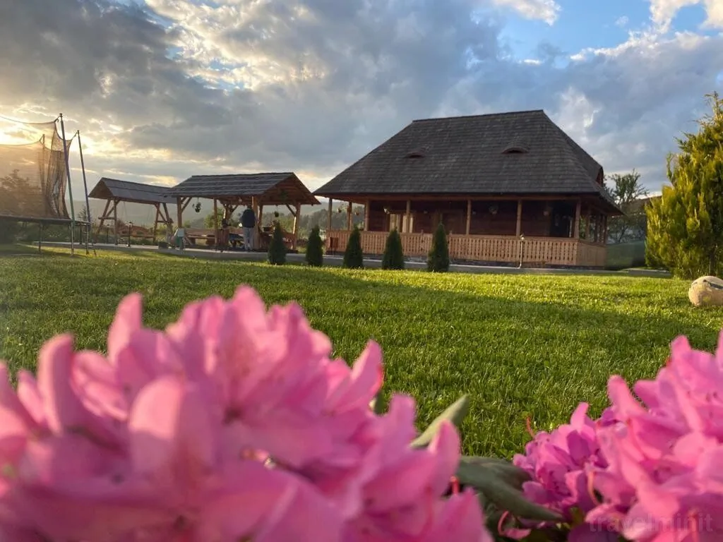 Casa Eli Vișeu de Sus – Vişeu de Sus, România
