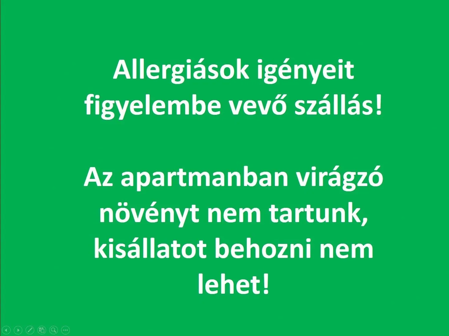 Smart Business Apartman Miskolc - foto 9