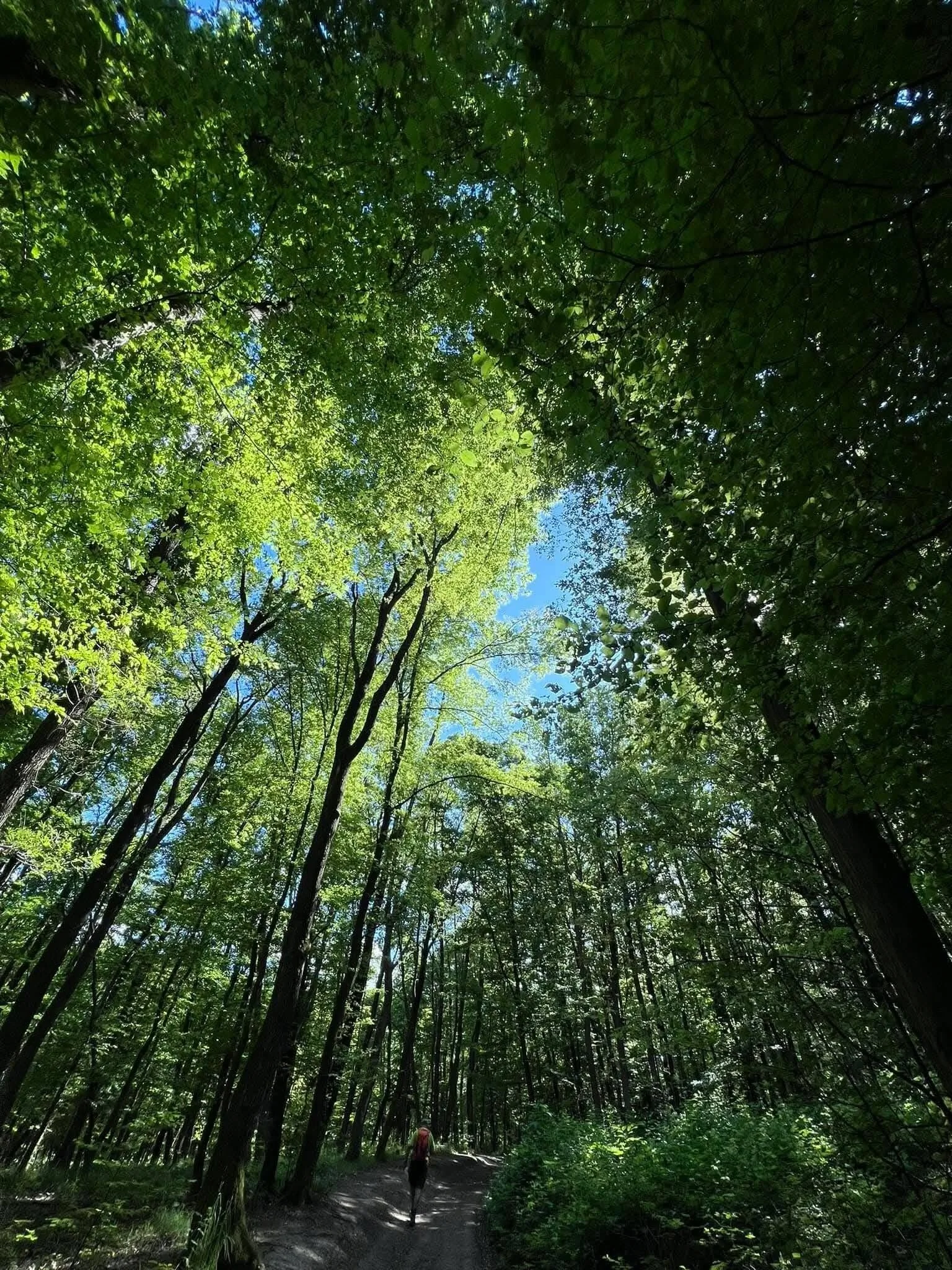 DézsaVű Vendégház Kismaros – Kismaros, Ungaria