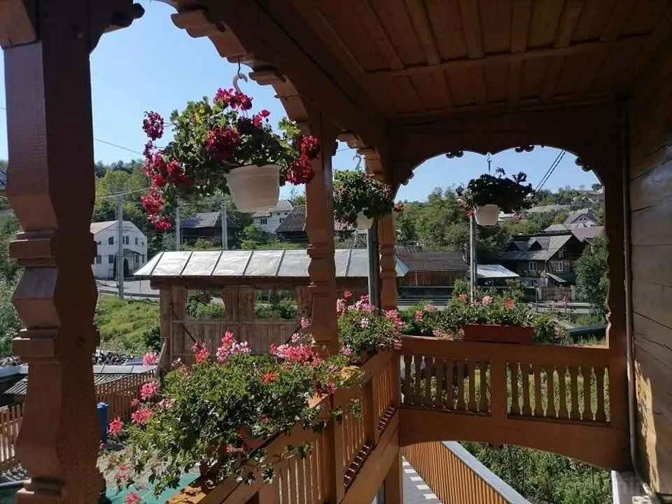 Casa Nemeș Văleni – Văleni, România