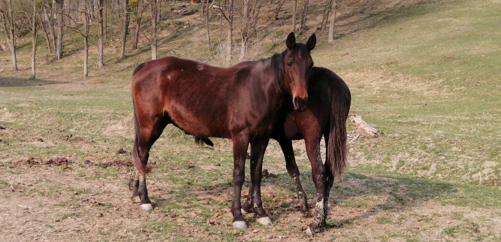 Réti Tanya Vendégház Kerecseny – Kerecseny, Maďarsko