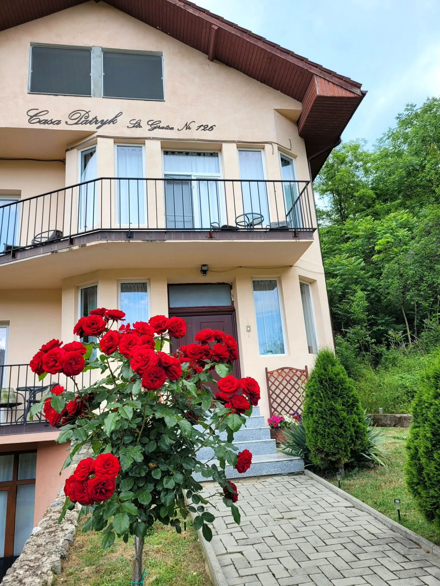 Casa Patryk Orșova – Orşova, România