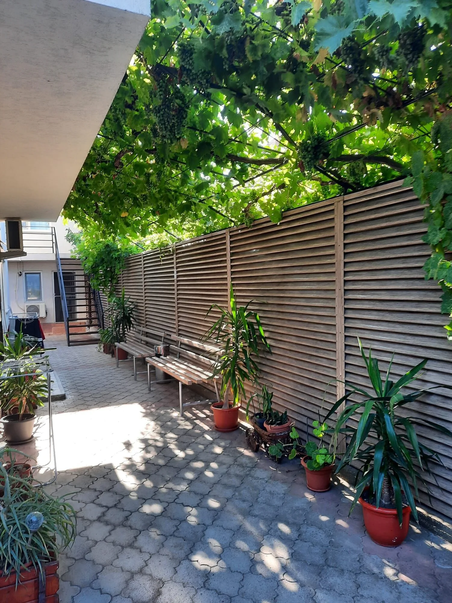Camere De Închiriat Vacanța Costinești – Costineşti, România
