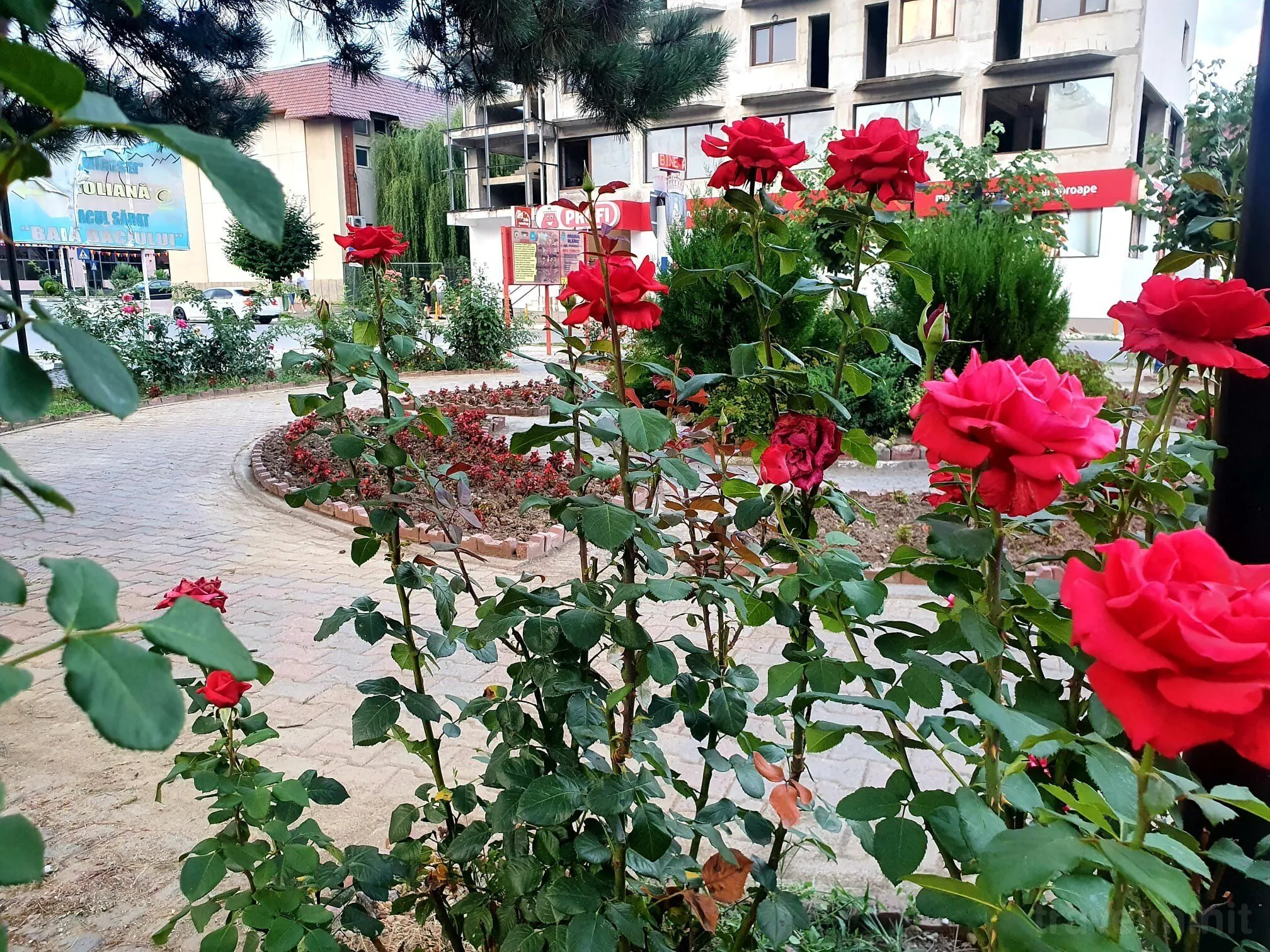 Casă de vacanță Magic Home Slănic – Slănic, Rumunia