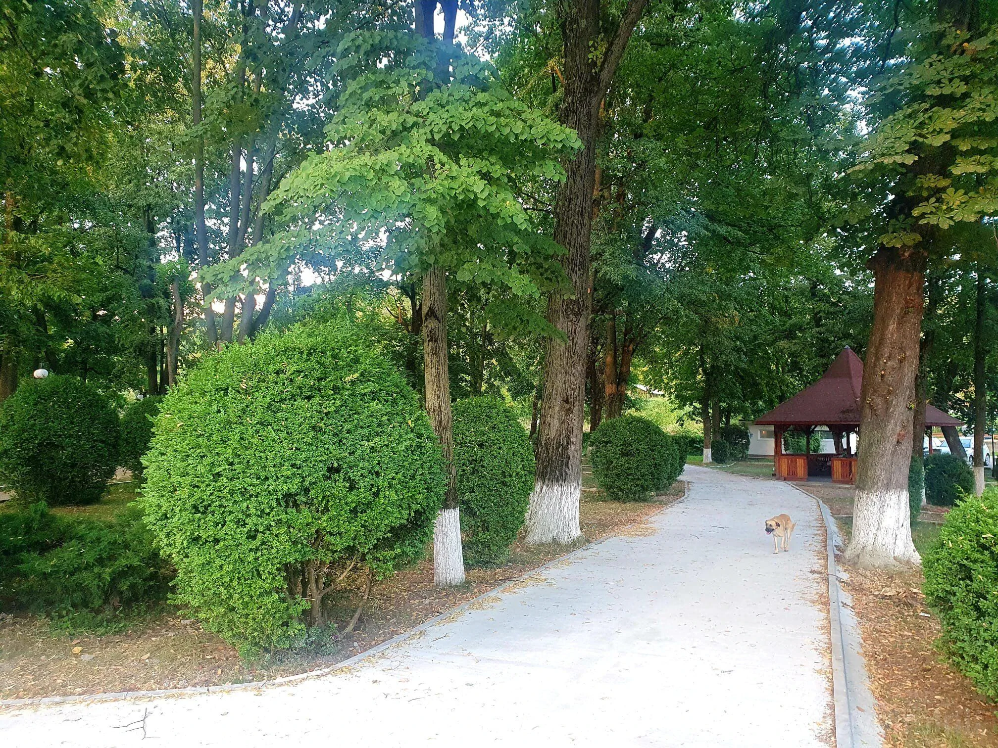 Casă de vacanță Magic Home Slănic – Slănic, Rumunia