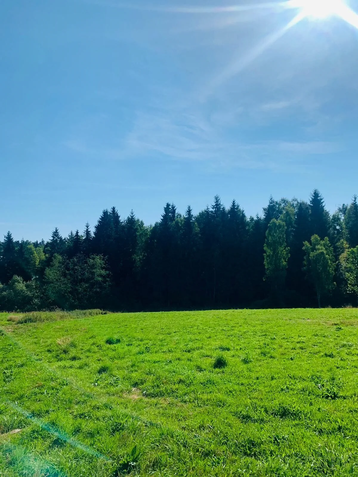 Cabana Karina Dealu Negru – Dealu Negru, România