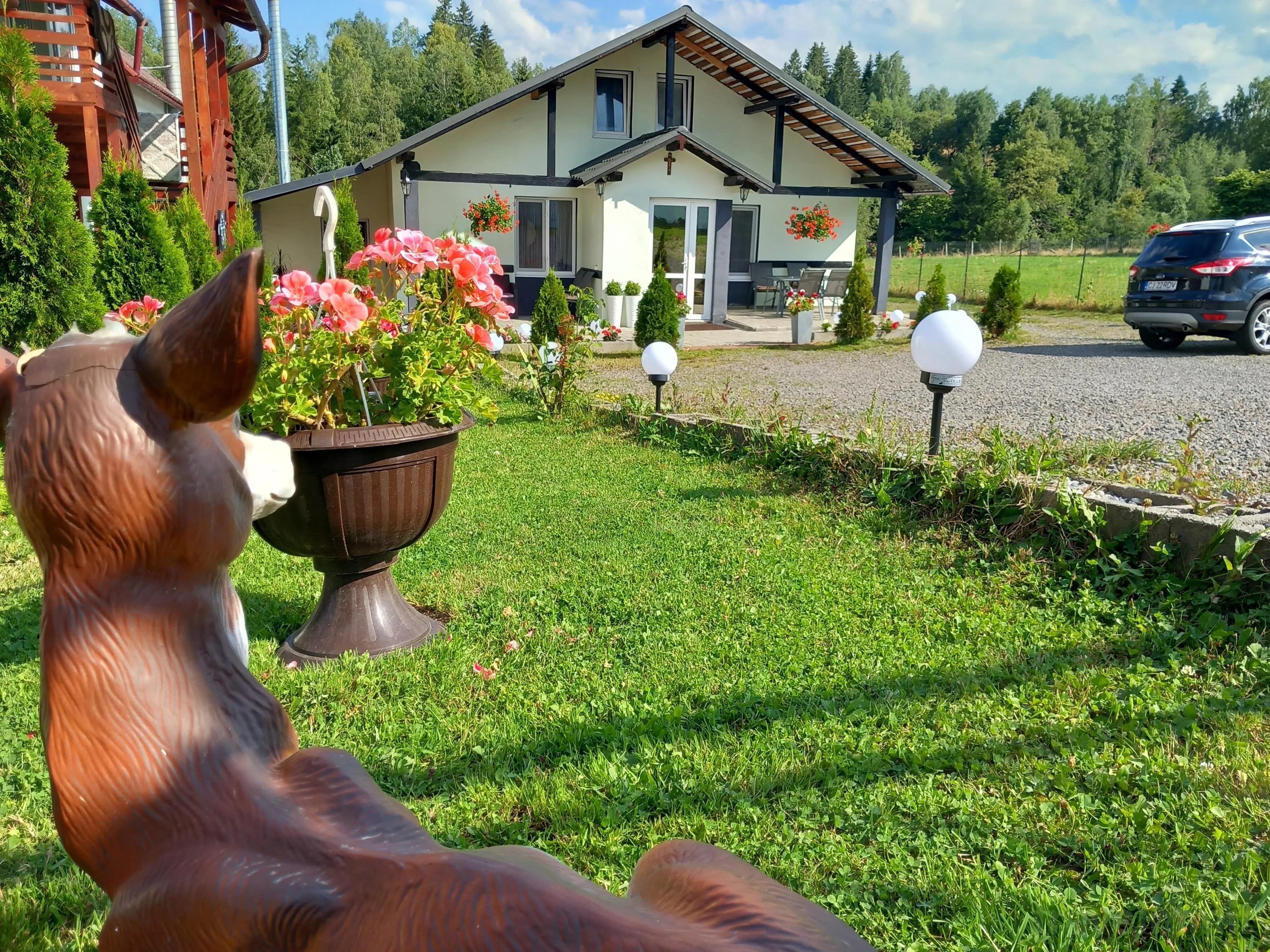 Cabana Karina Dealu Negru – Dealu Negru, România