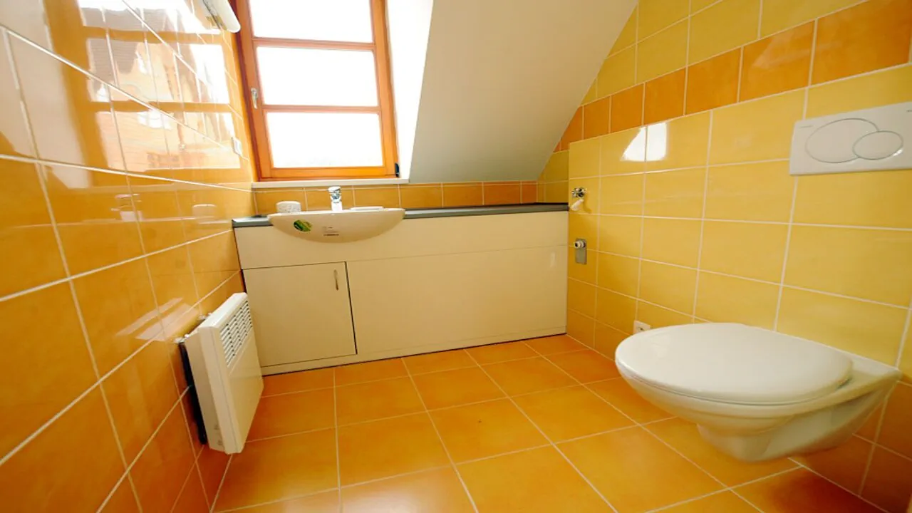 Apartmán Říčky U Sněžného Lva Říčky v Orlických horách - foto 9