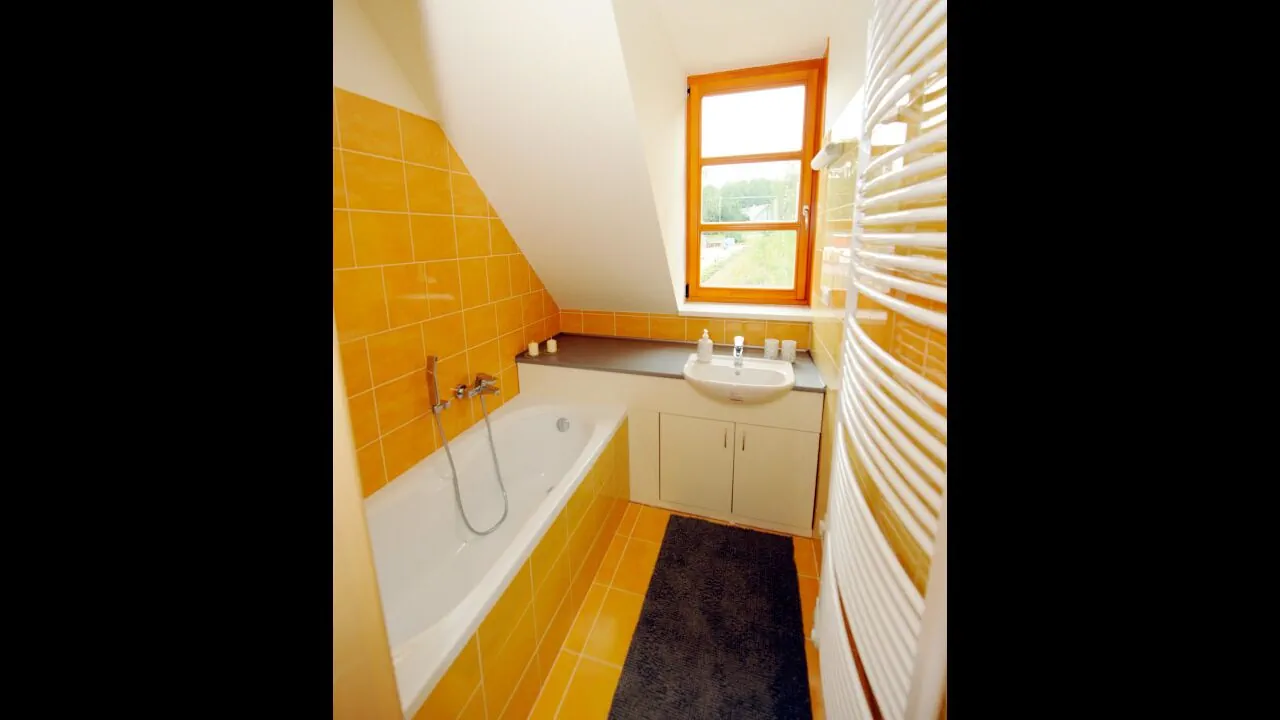 Apartmán Říčky U Sněžného Lva Říčky v Orlických horách - foto 8