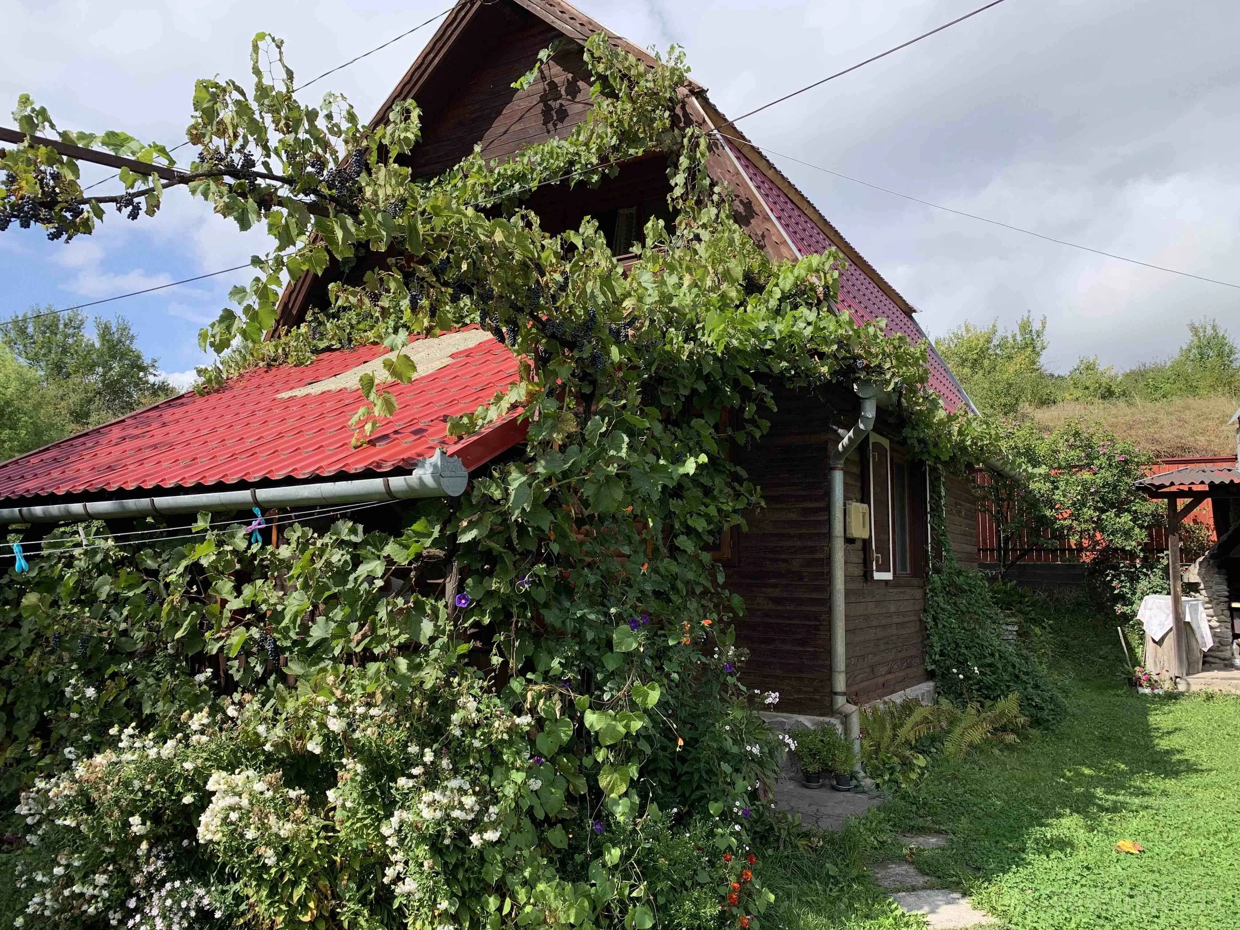 Cabana Kovács Mária Praid – Praid, Rumunia