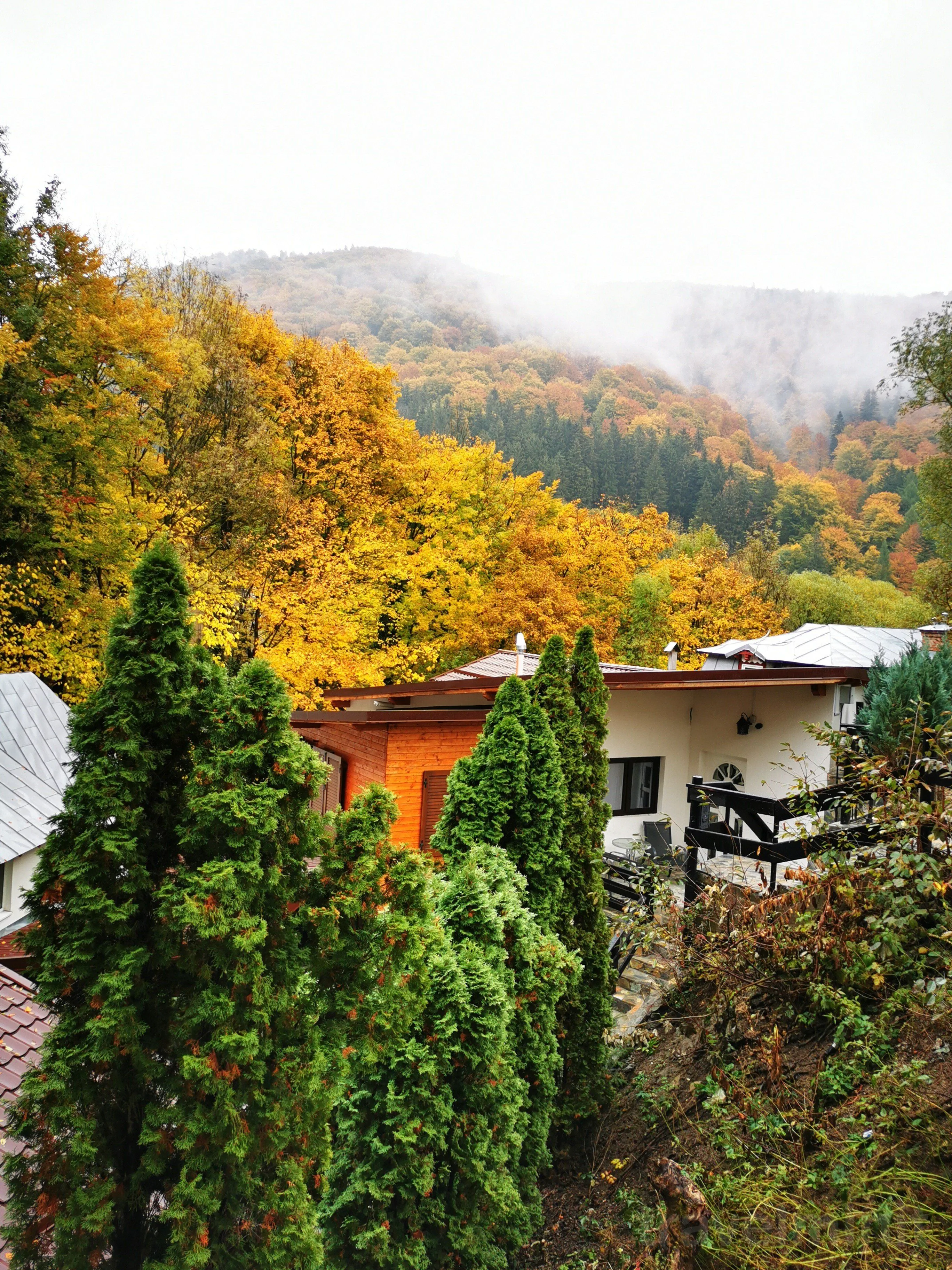 Casa Flandria Sinaia – Sinaia, România