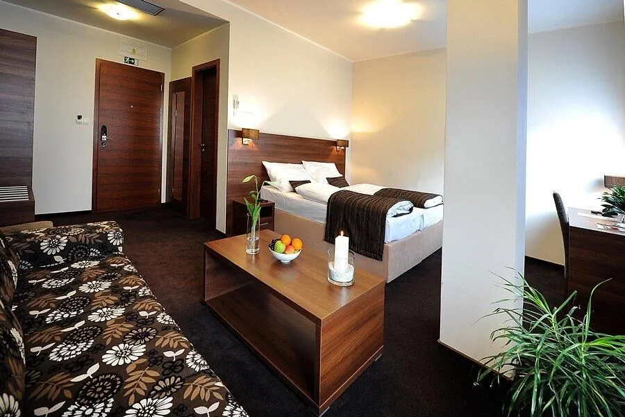 Hotel Biograf Písek II - foto 5