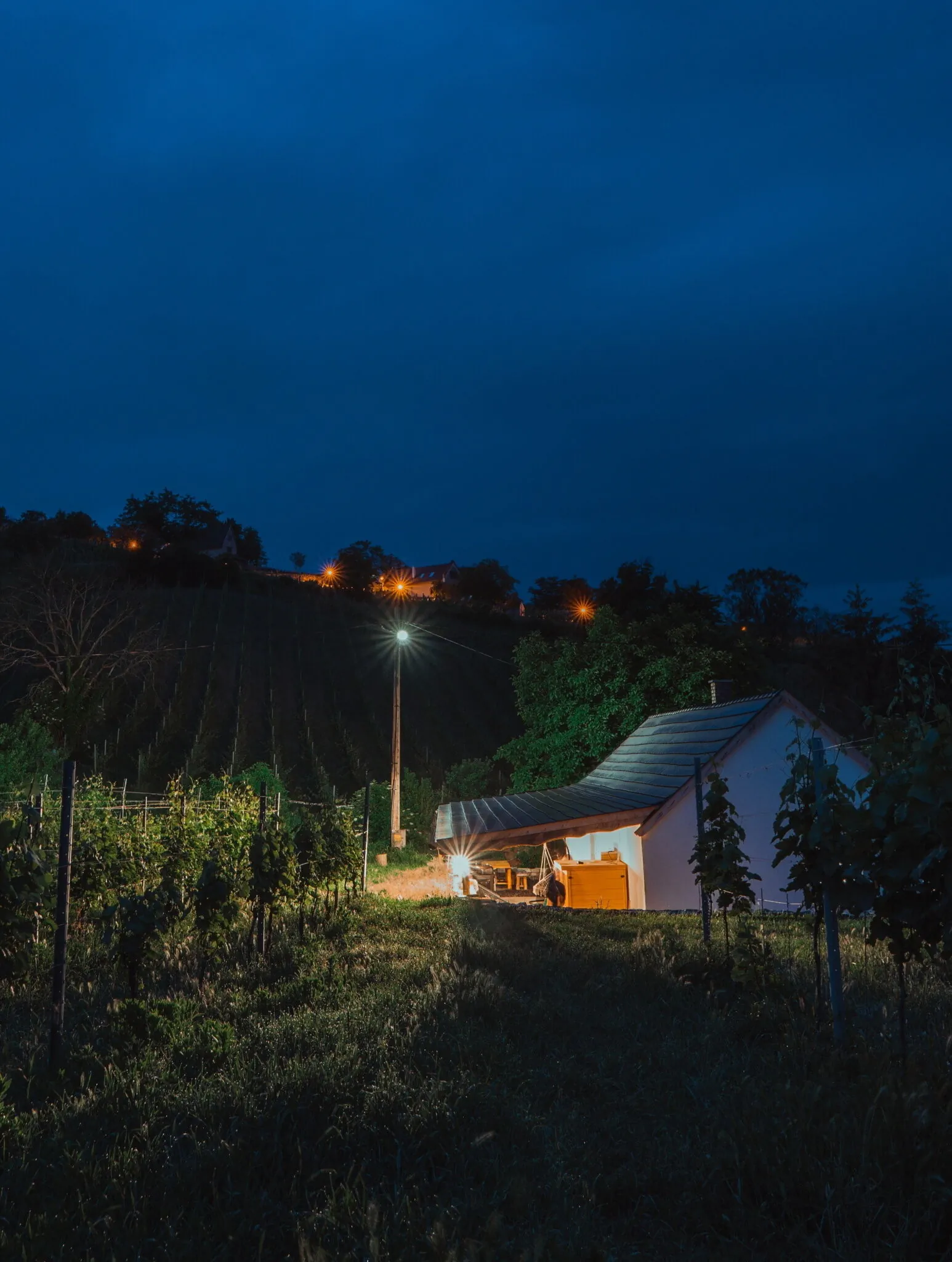 Somló Nordic Somlószőlős - foto 6