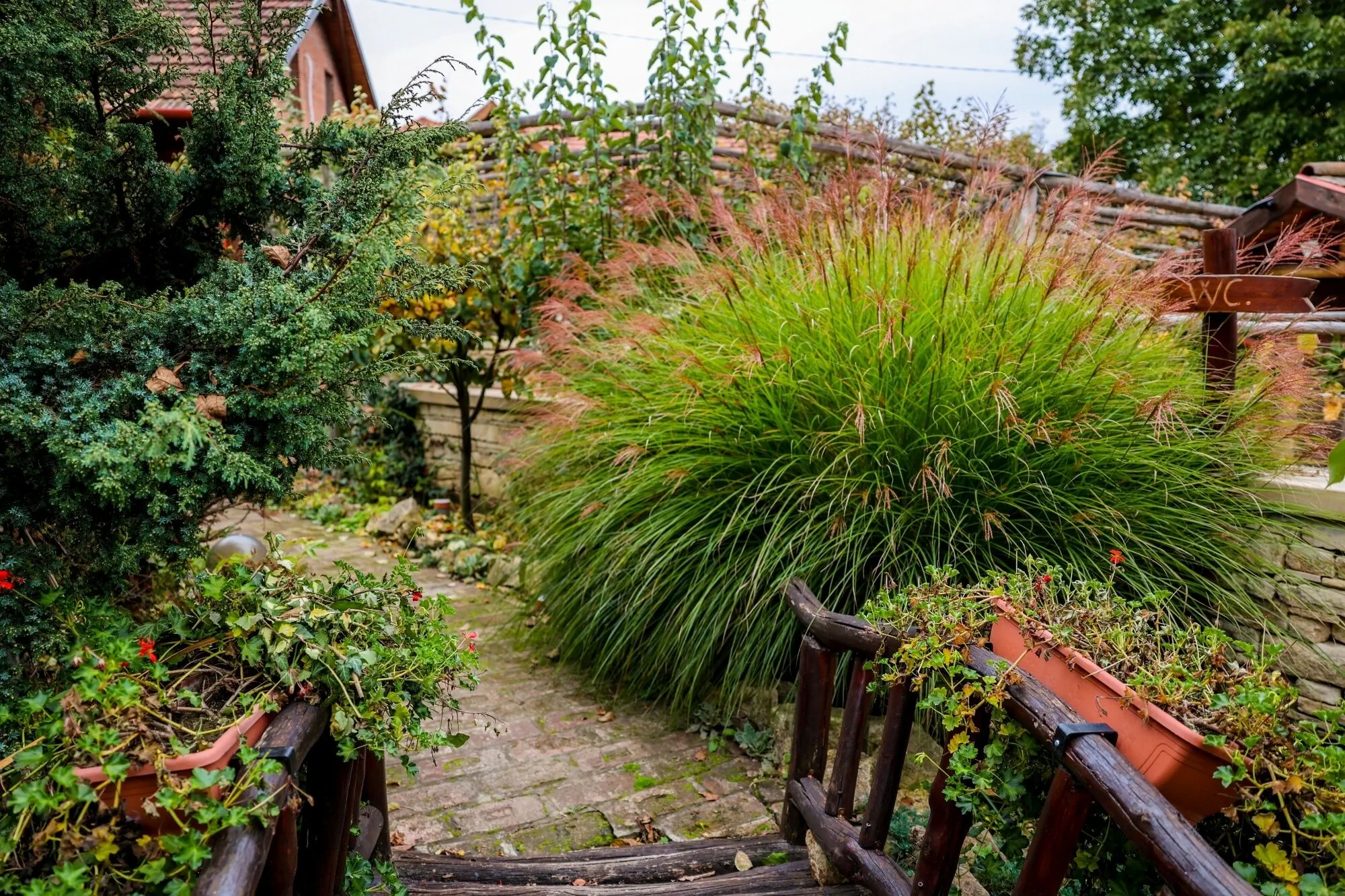 Tündérkert Apartman Debrecen - foto 10