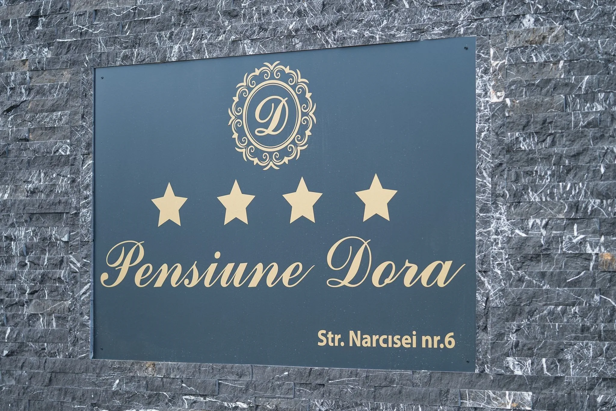 Pensiunea Dora Tășnad - foto 3