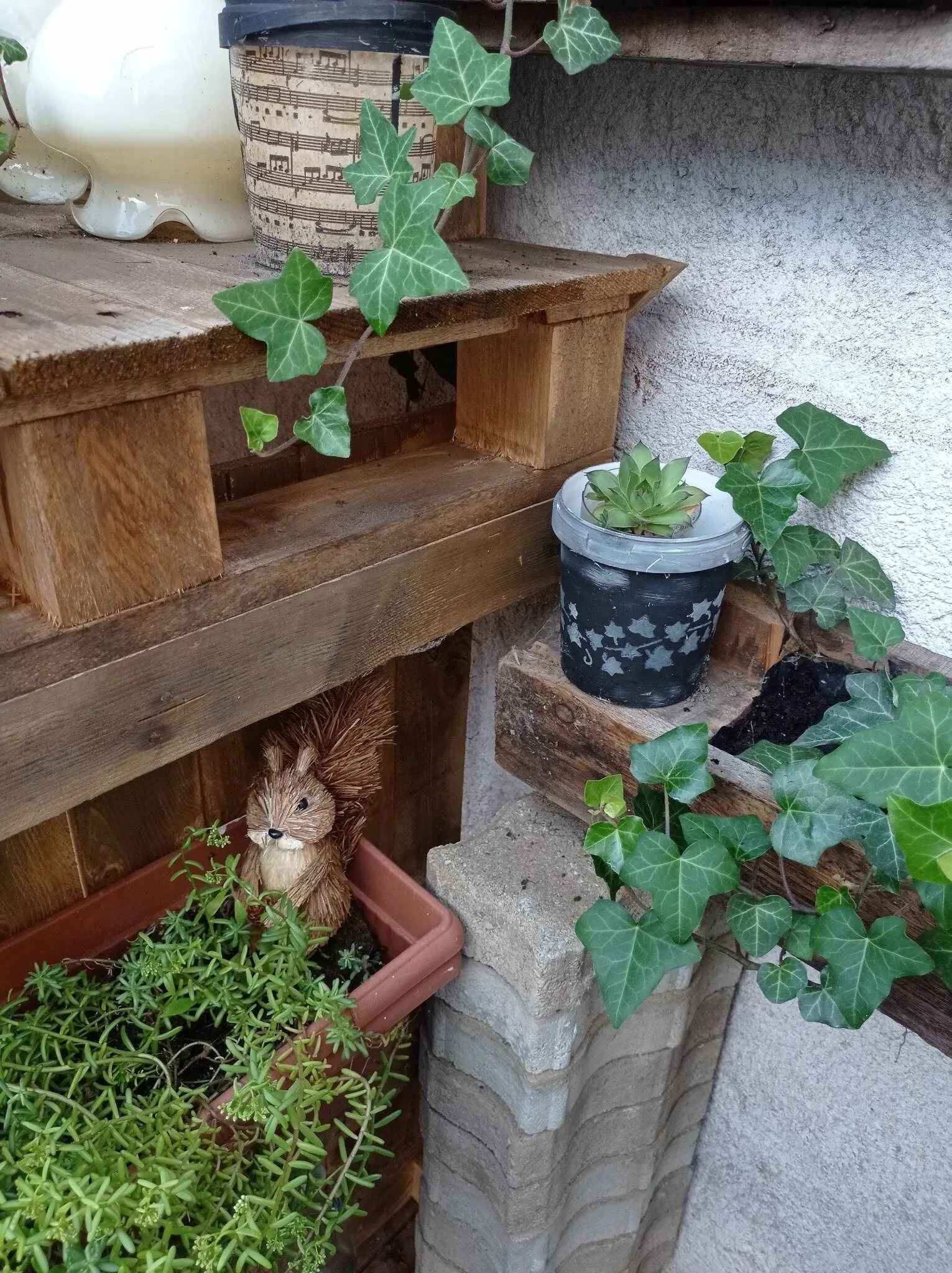 Revans Teázó Apartman Pápa - foto 6