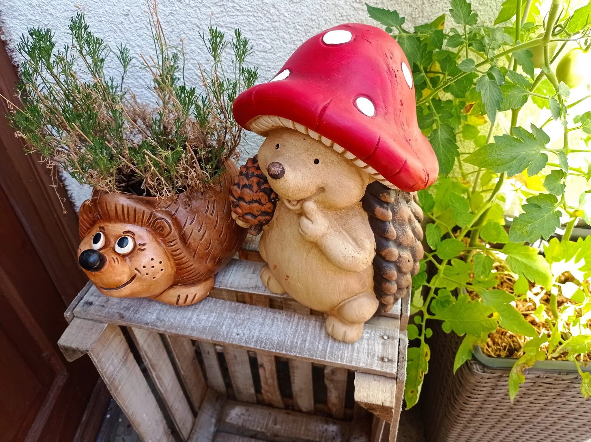 Revans Teázó Apartman Pápa - foto 7