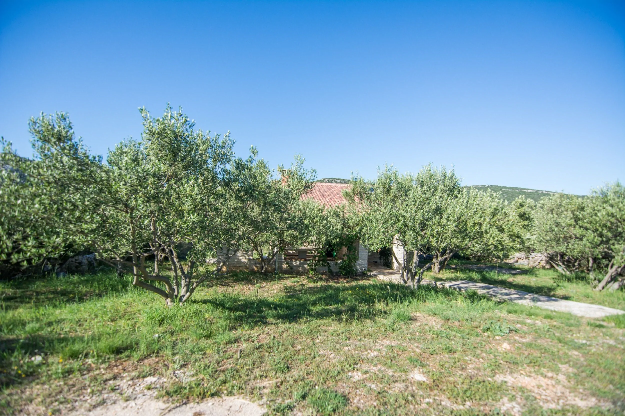 House Pool House Lake by the sea Pirovac - foto 10