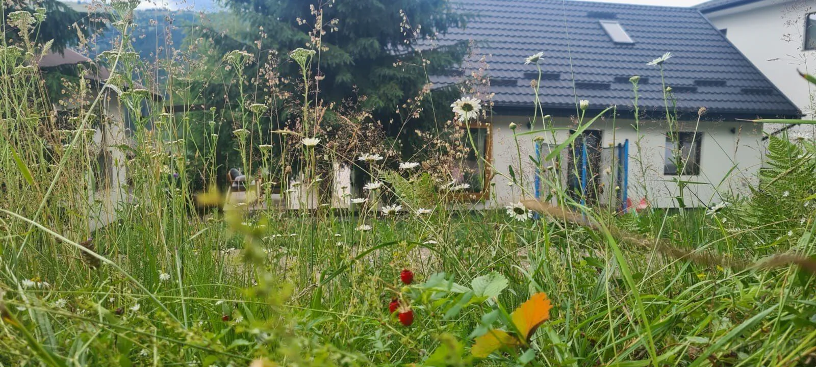 Casa Sebi Vatra Dornei – Vatra Dornei, România