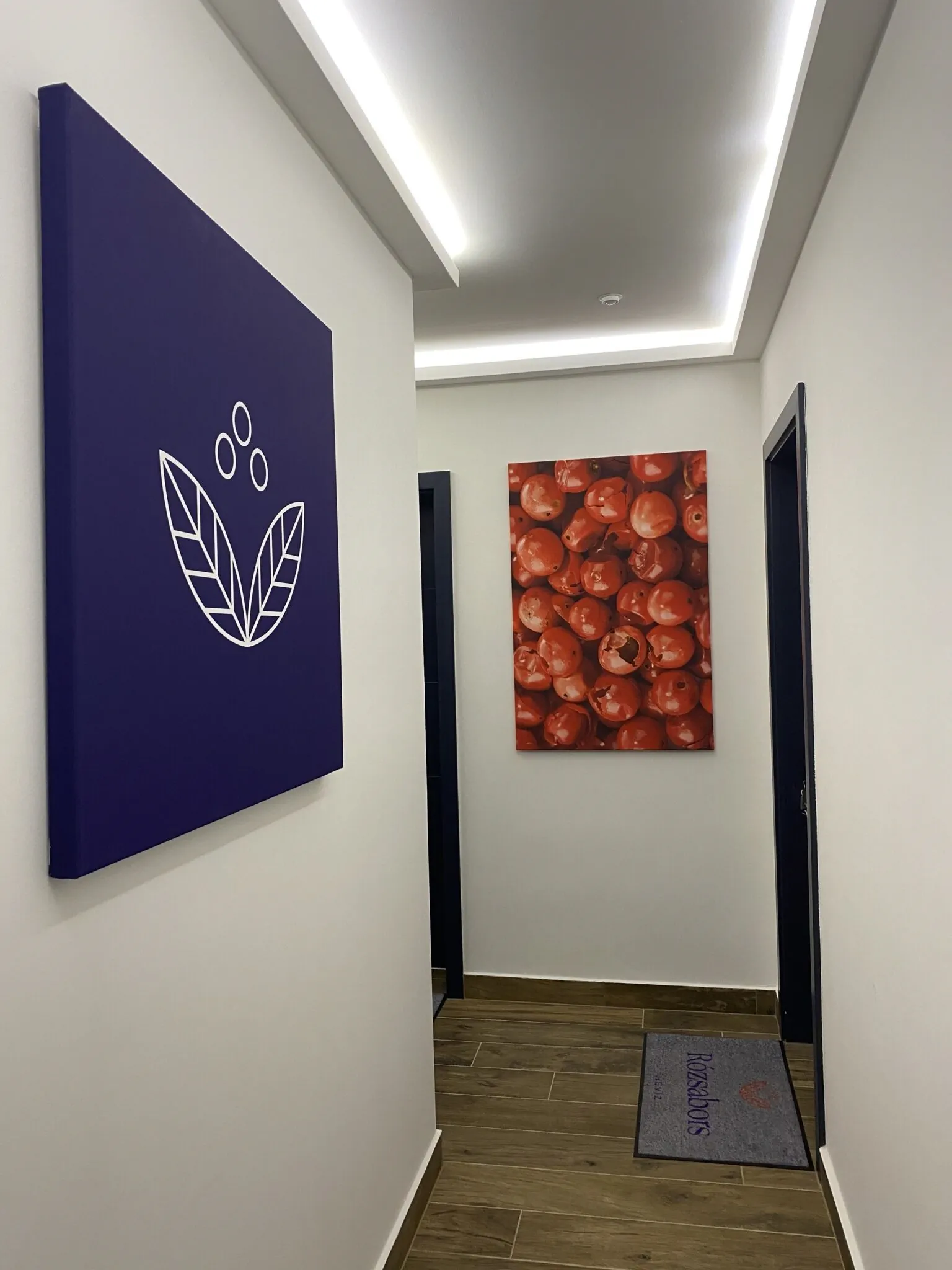 Rózsabors Panzió Hévíz – Hévíz, Ungaria