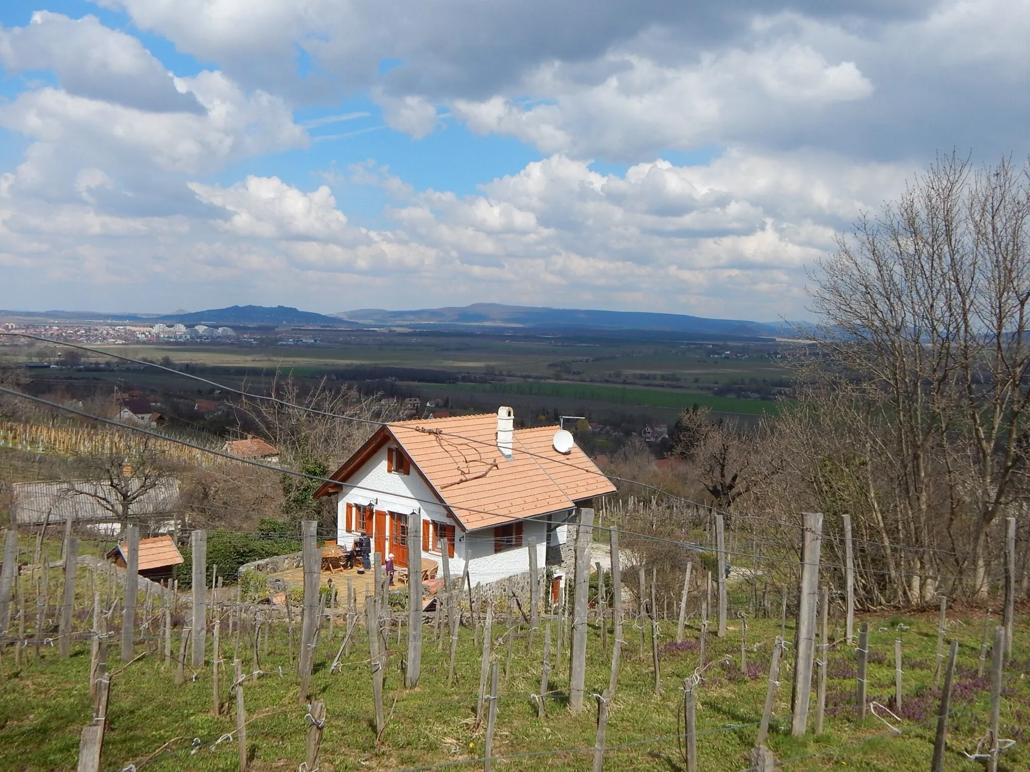Szent György-hegyi Sárkányles Vendégház Kisapáti - foto 6