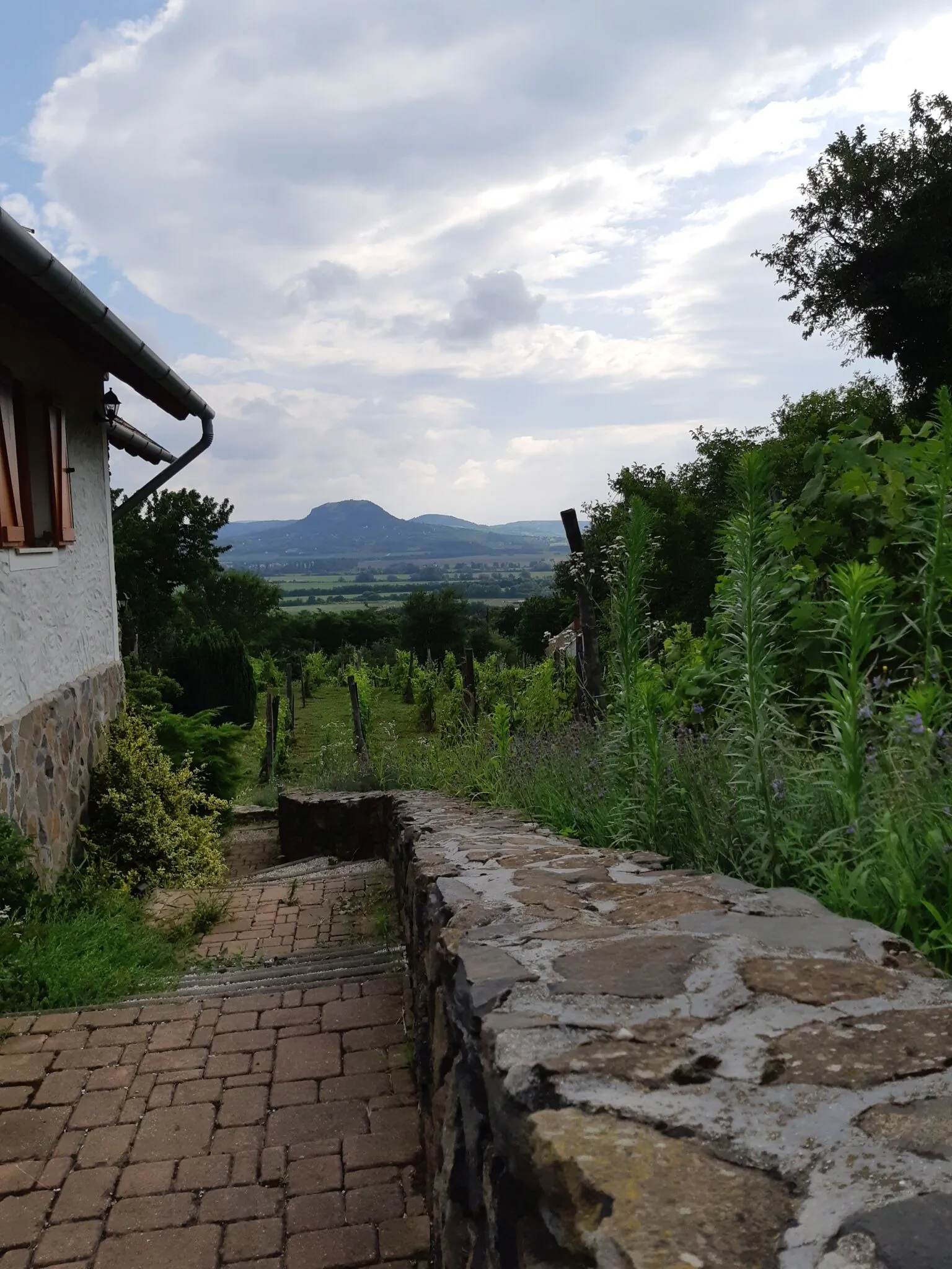 Szent György-hegyi Sárkányles Vendégház Kisapáti - foto 9