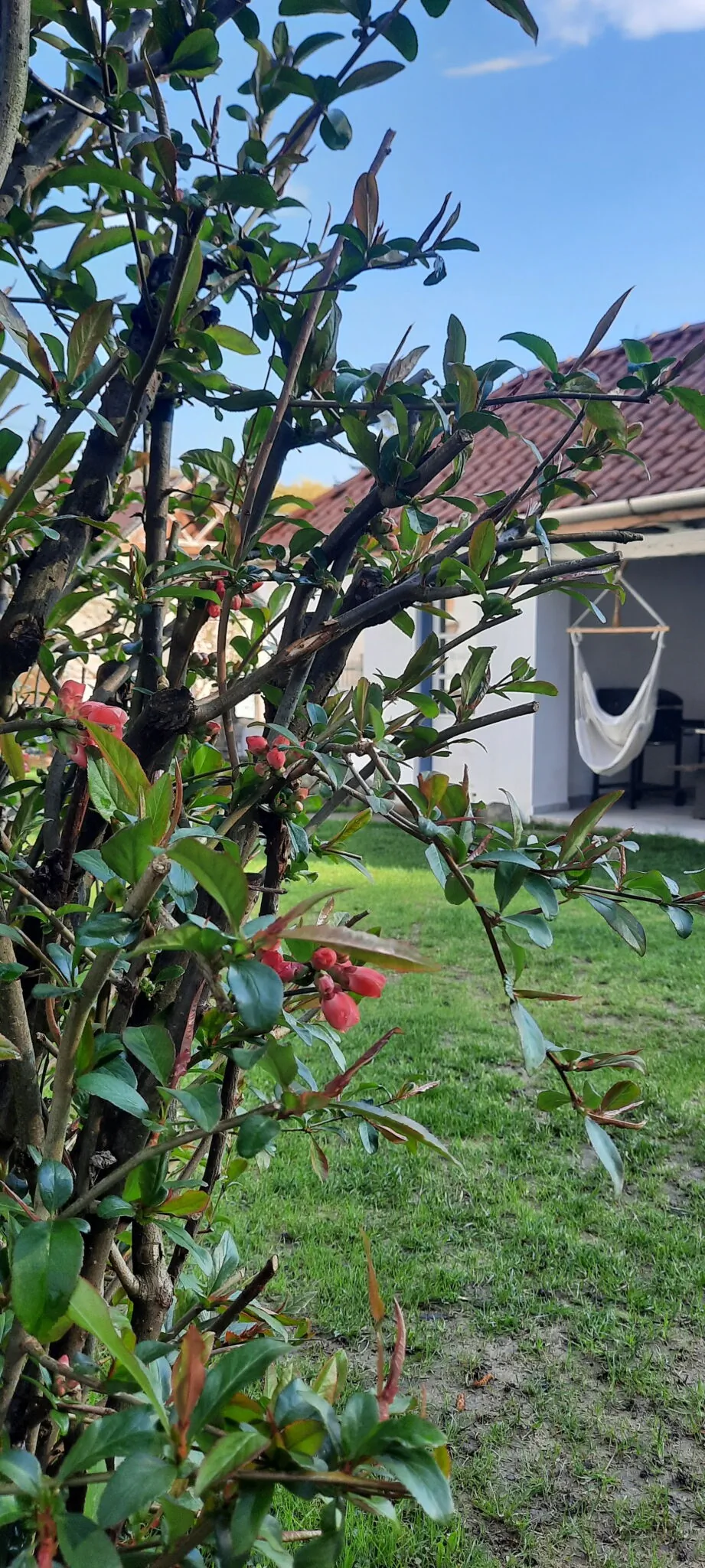 Kiskilenc Vendégház Szarvaskő – Szarvaskő, Ungaria