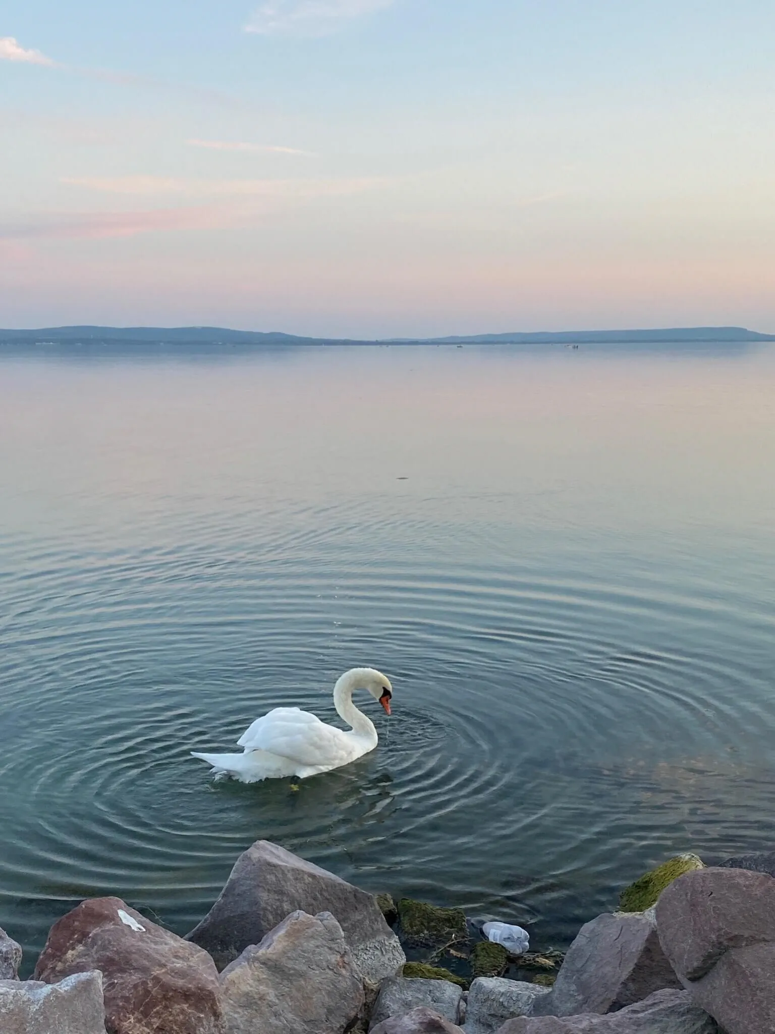 Luna Rossa Boutique Apartman Balatonakali - foto 3